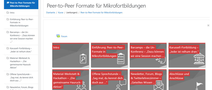 Peer-to-Peer Formate für Mikrofortbildungen