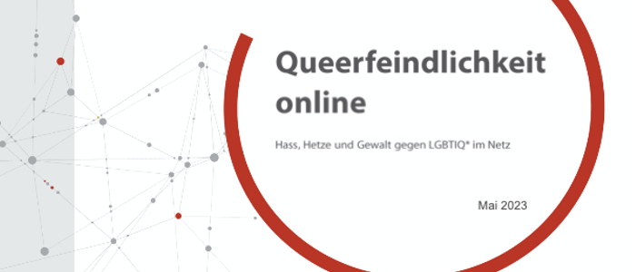 Queerfeindlichkeit online. Hass, Hetze und Gewalt gegen LGBTIQ* im Netz