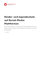 Kinder- und Jugendschutz auf Social-Media Plattformen. Eine Untersuchung zur Umsetzung von Artikel 28 Digital Services Act (DSA) sowie der Leitlinien der Europäischen Kommission zum Schutz Minderjähriger